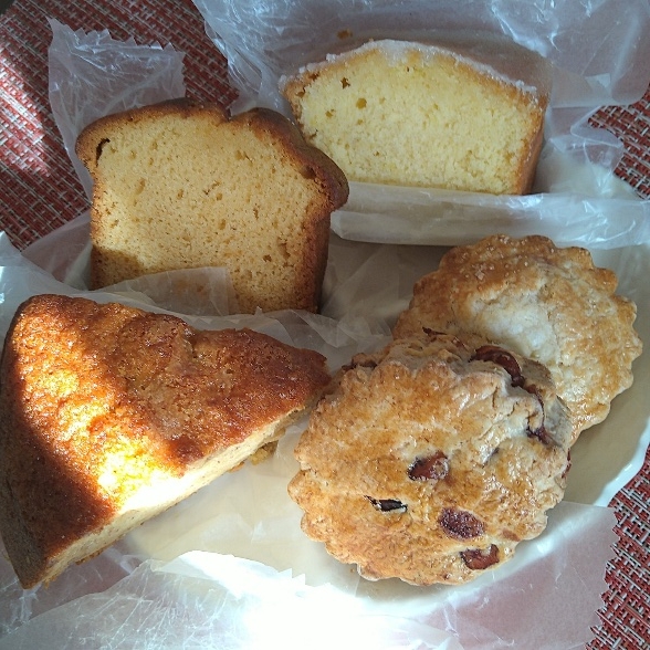 グルメ部　令和7年度の活動レポート