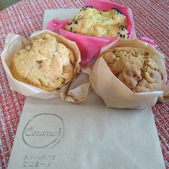 グルメ部　令和7年度の活動レポート